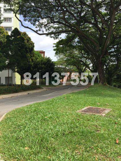 Blk 23A Queen's Close (Queenstown), HDB 3 Rooms #136282982